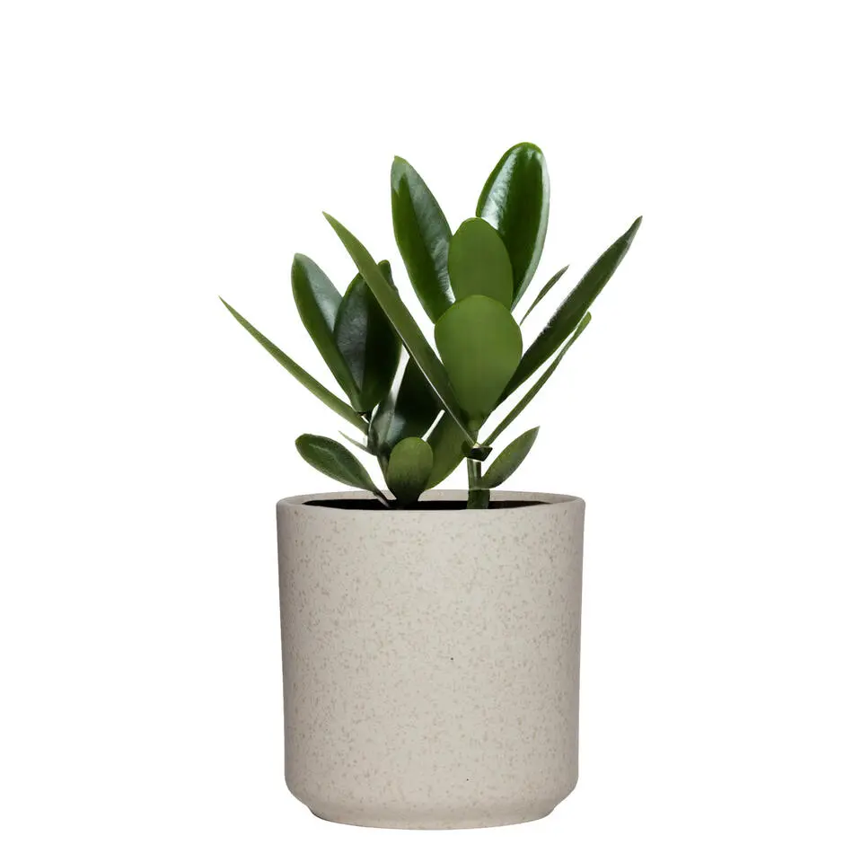 Hakbijl Plantenpot/bloempot Cindy - wit - keramiek - D17xH17 cm