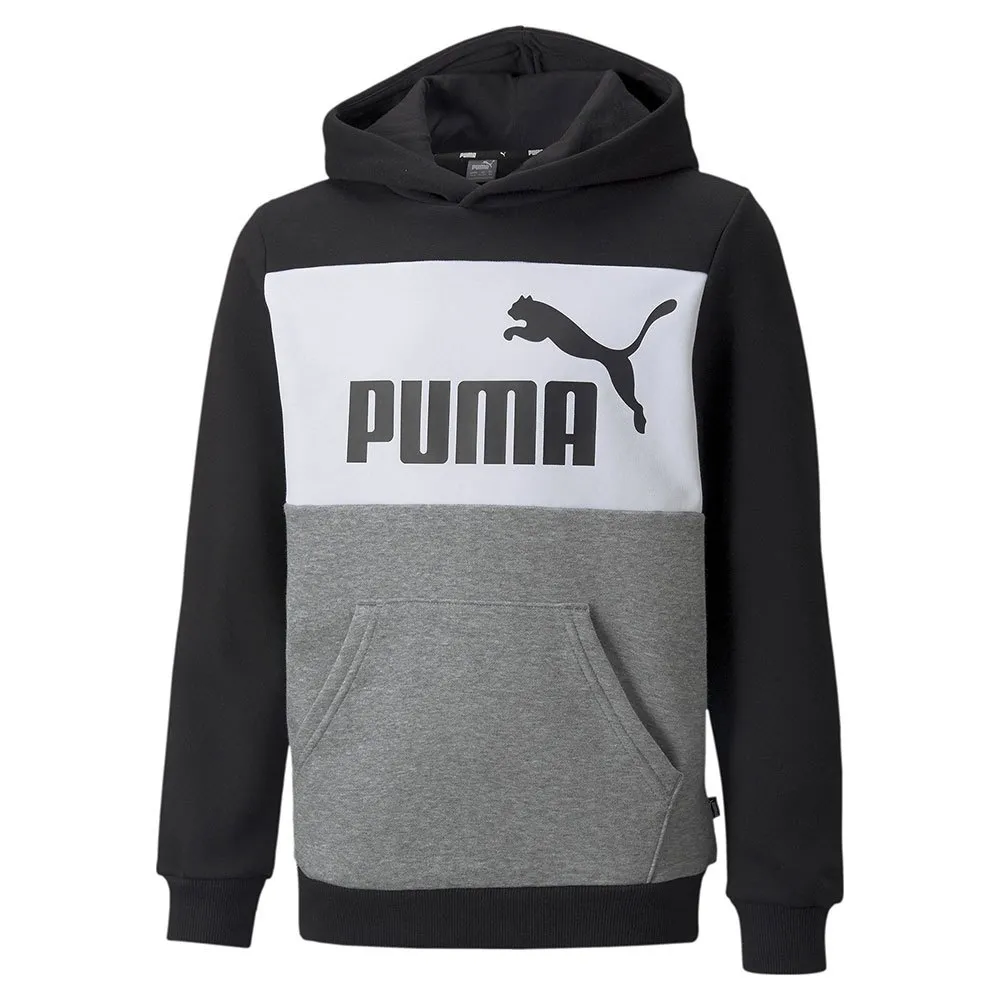 Puma Essentials  Colorblock Fl sweatshirt