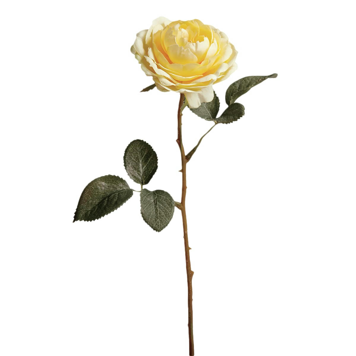 TEA - Rose Tea artificielle H33cm