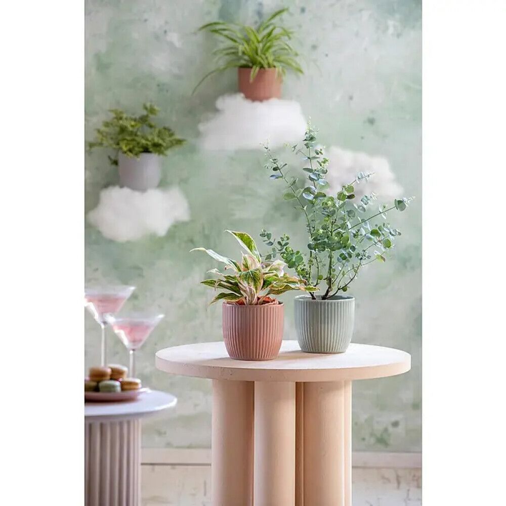 KRUKKER SOENDGEN BELICE DELIGHT 14CM KOKOS