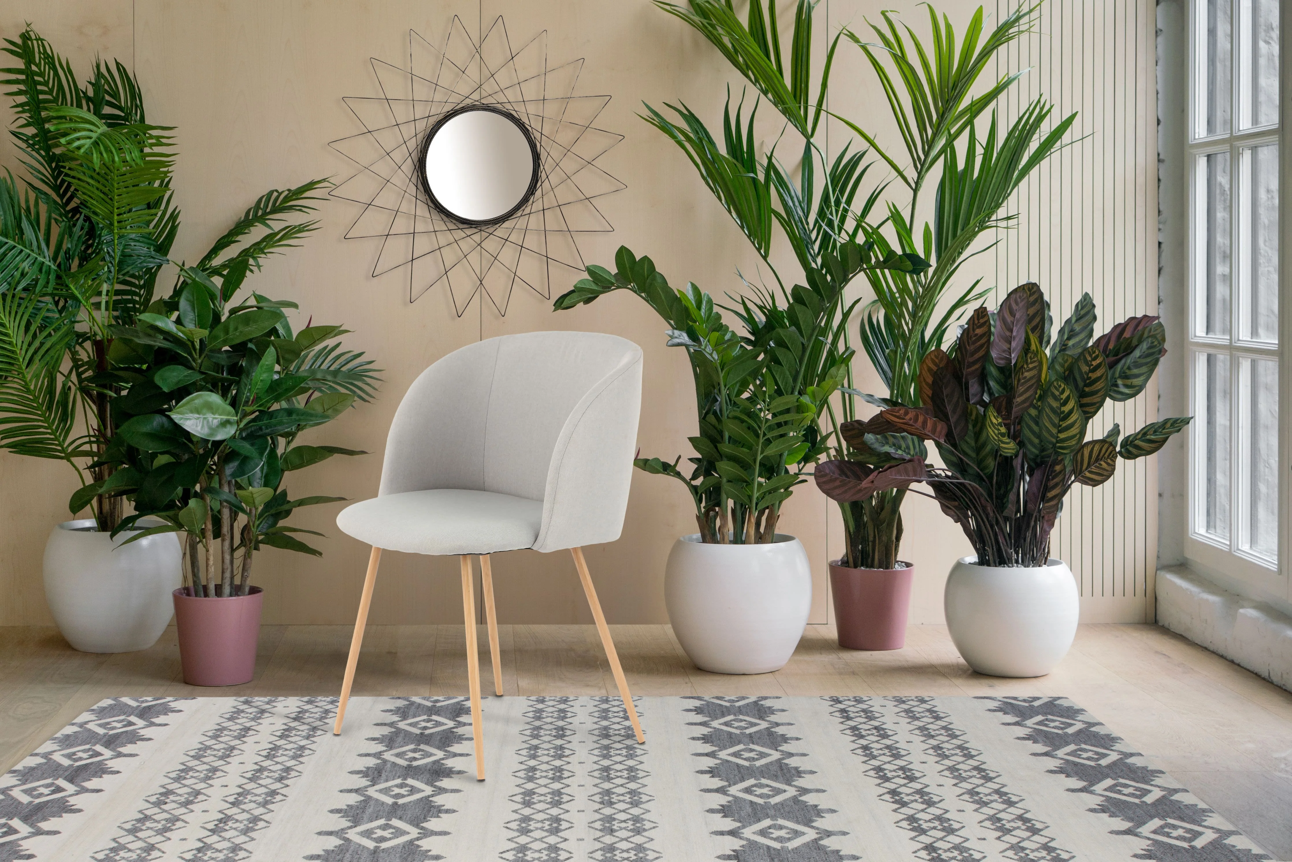 Set van 2 eetkamerstoelen Celdic
