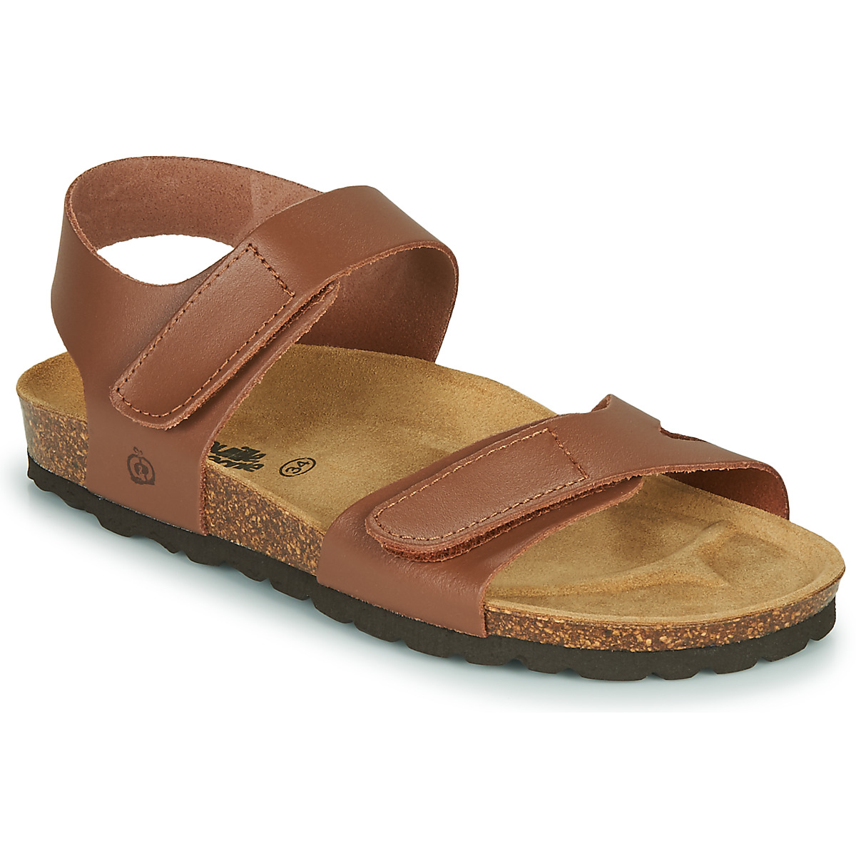 Citrouille et Compagnie - BELLI JOE - Brown