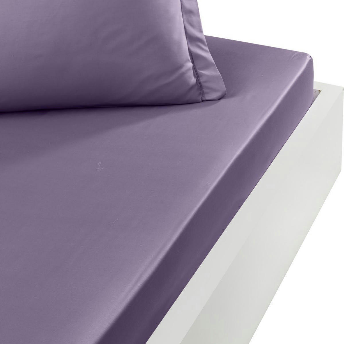 SOFT PERCALE - Drap housse en percale de coton Pourpre 160x200 cm