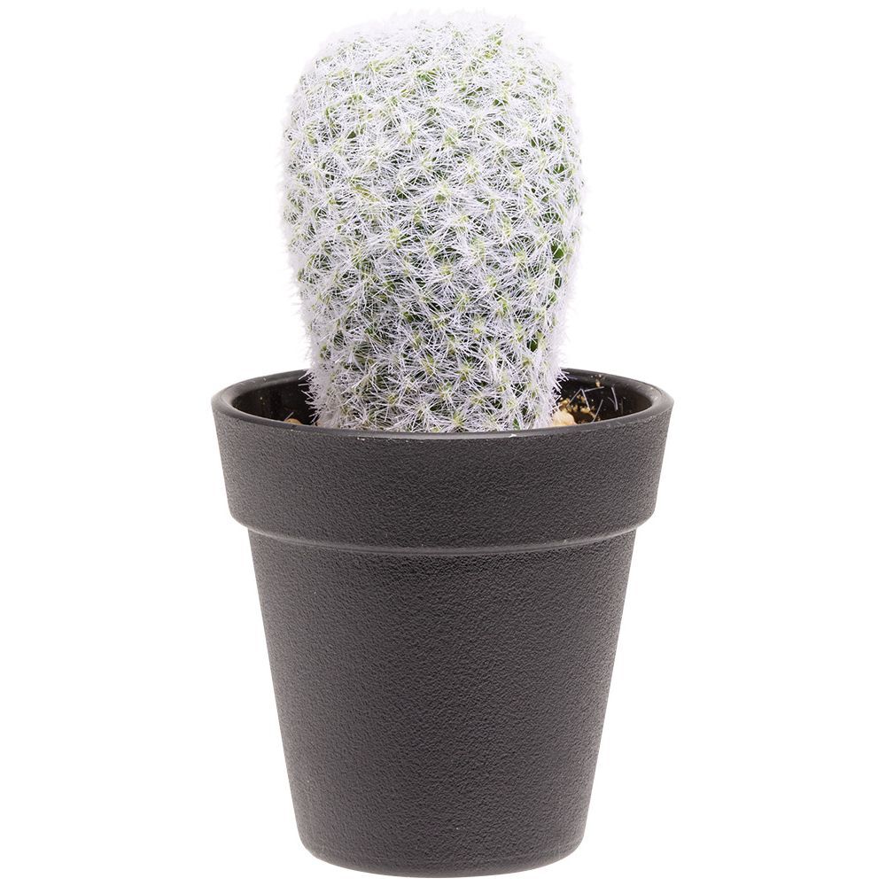 Cactus allongé artificiel vert et blanc Ø7,5xH15cm