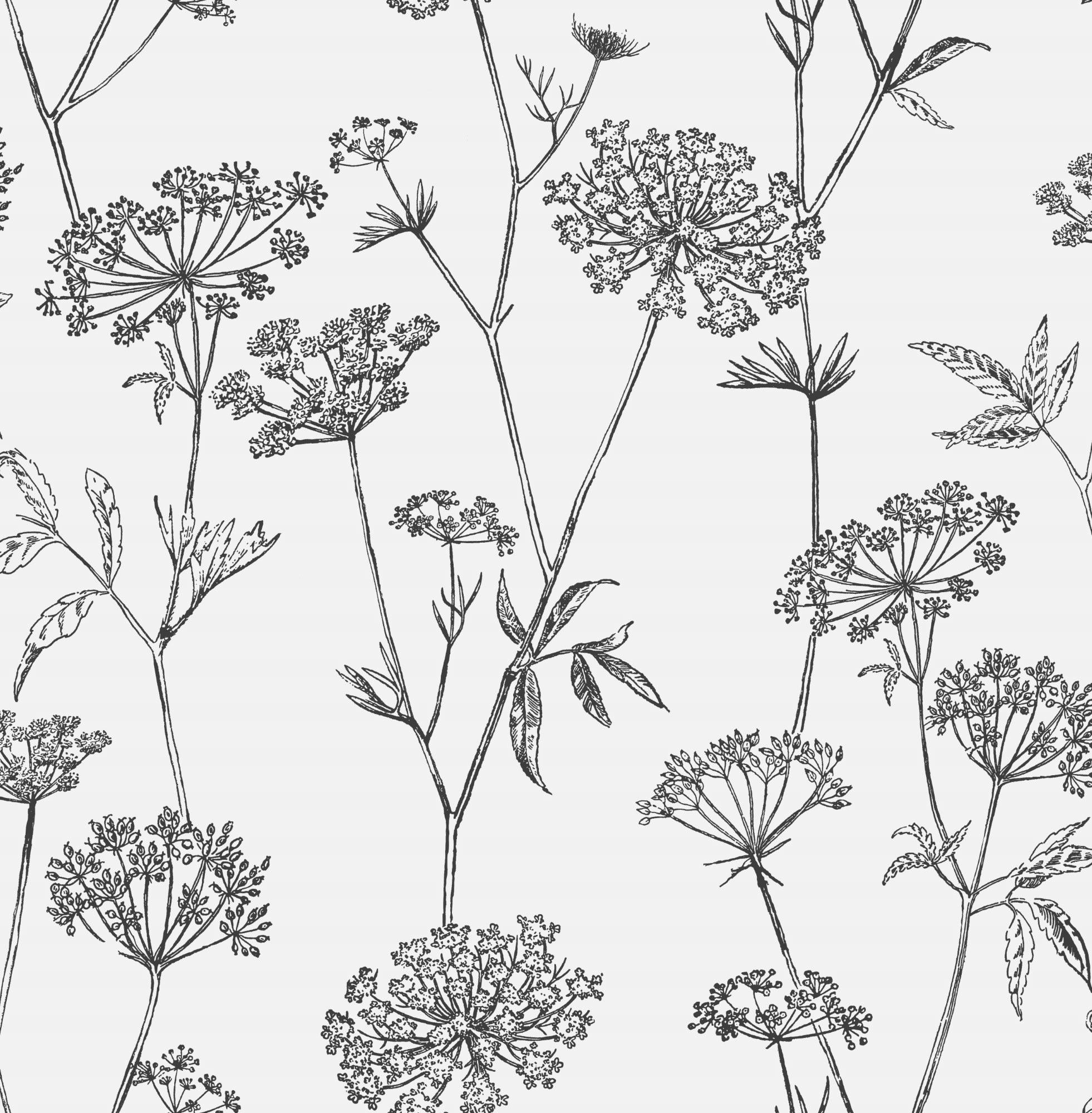 - Papier peint intissé fleuri gravure noir écru 1000x53cm