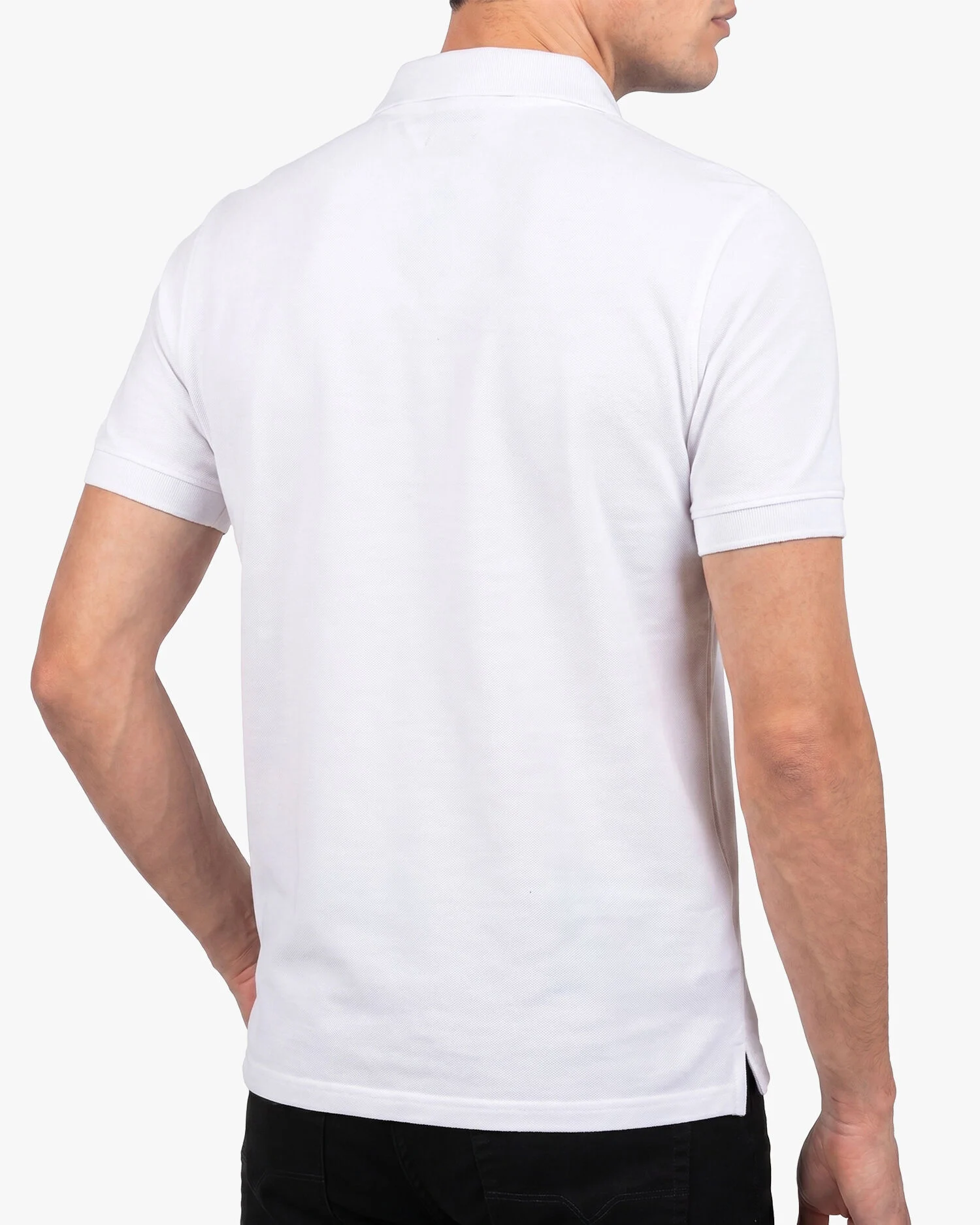 De Shirter 01.01