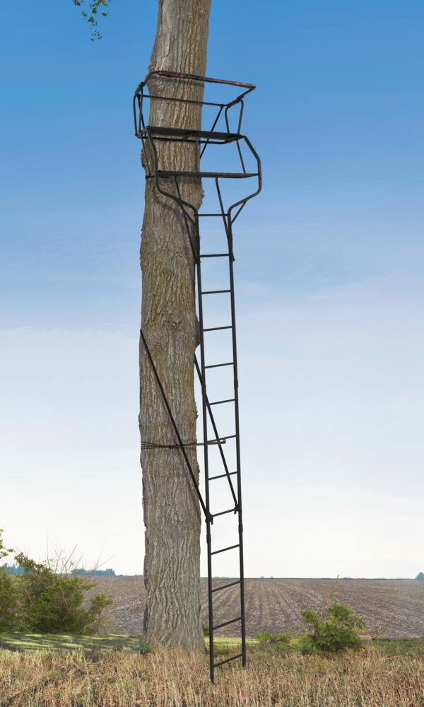 Big Game Guardian XLT 2-Person Ladder Tree Stand w/ Seat & Shooting Rail For Hunting, 18-ft