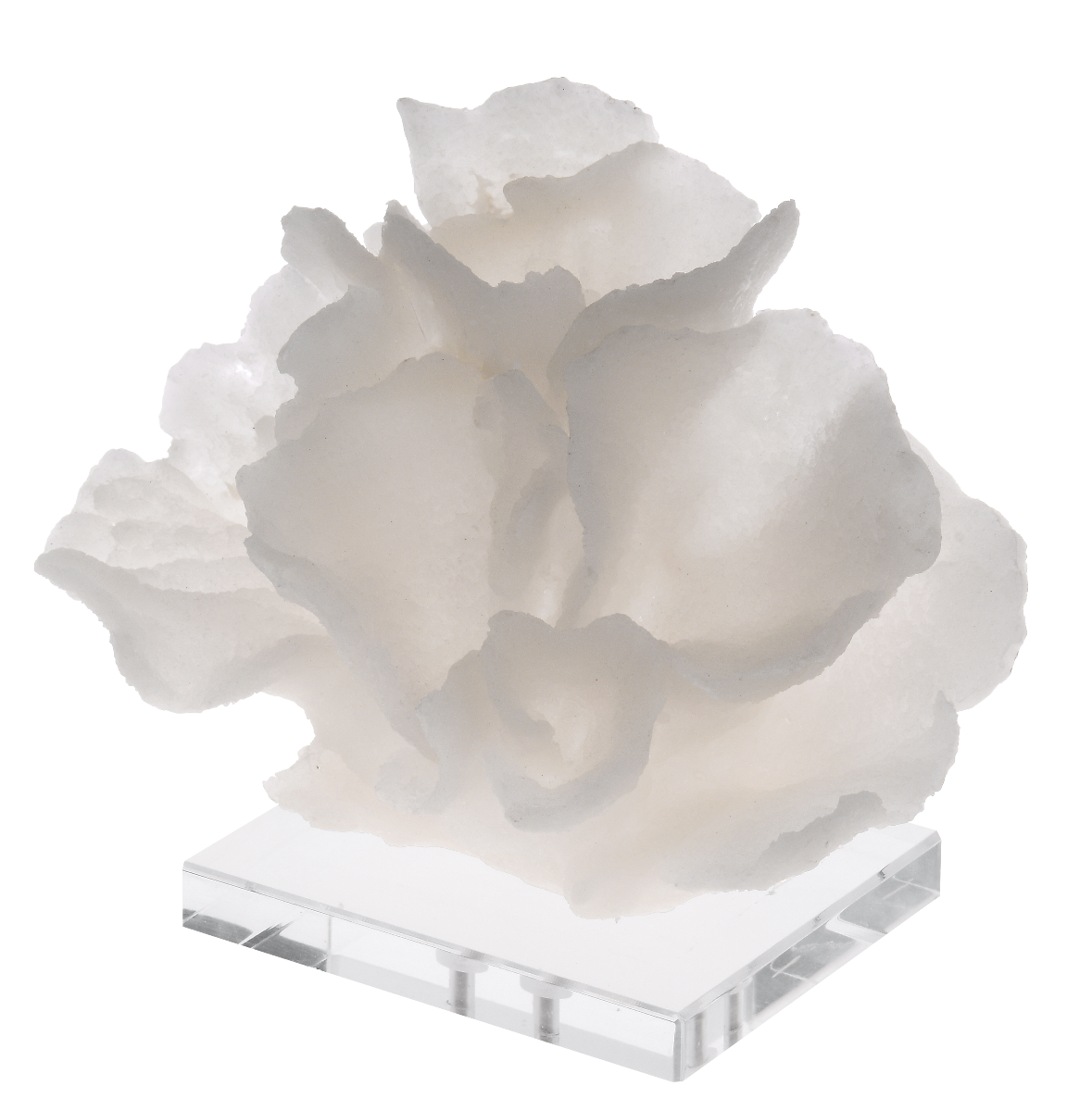 Koralowiec ozdobny East Hampton 22x13x16cm