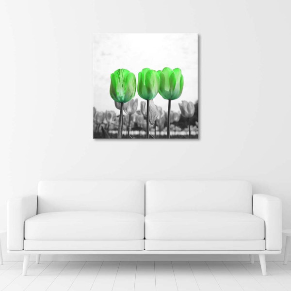 Feeby Obraz na płótnie Zielone tulipany na łące 30x30