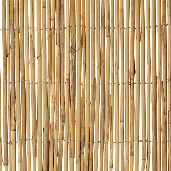Sichtschutzmatte, Schilfrohr, LxH: 600 x 160 cm