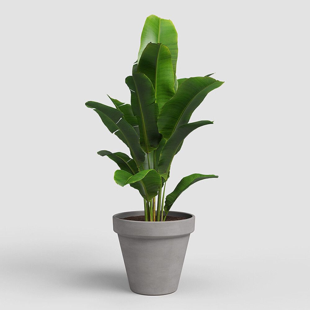 UTEPOTTE ARTEVASI AMÁLIA TERRAKOTTA VULCANO 25CM