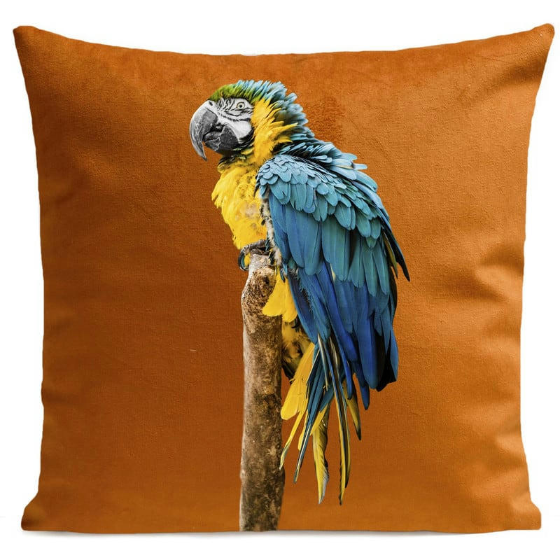 - Coussin tropical perroquet velours orange 40x40cm