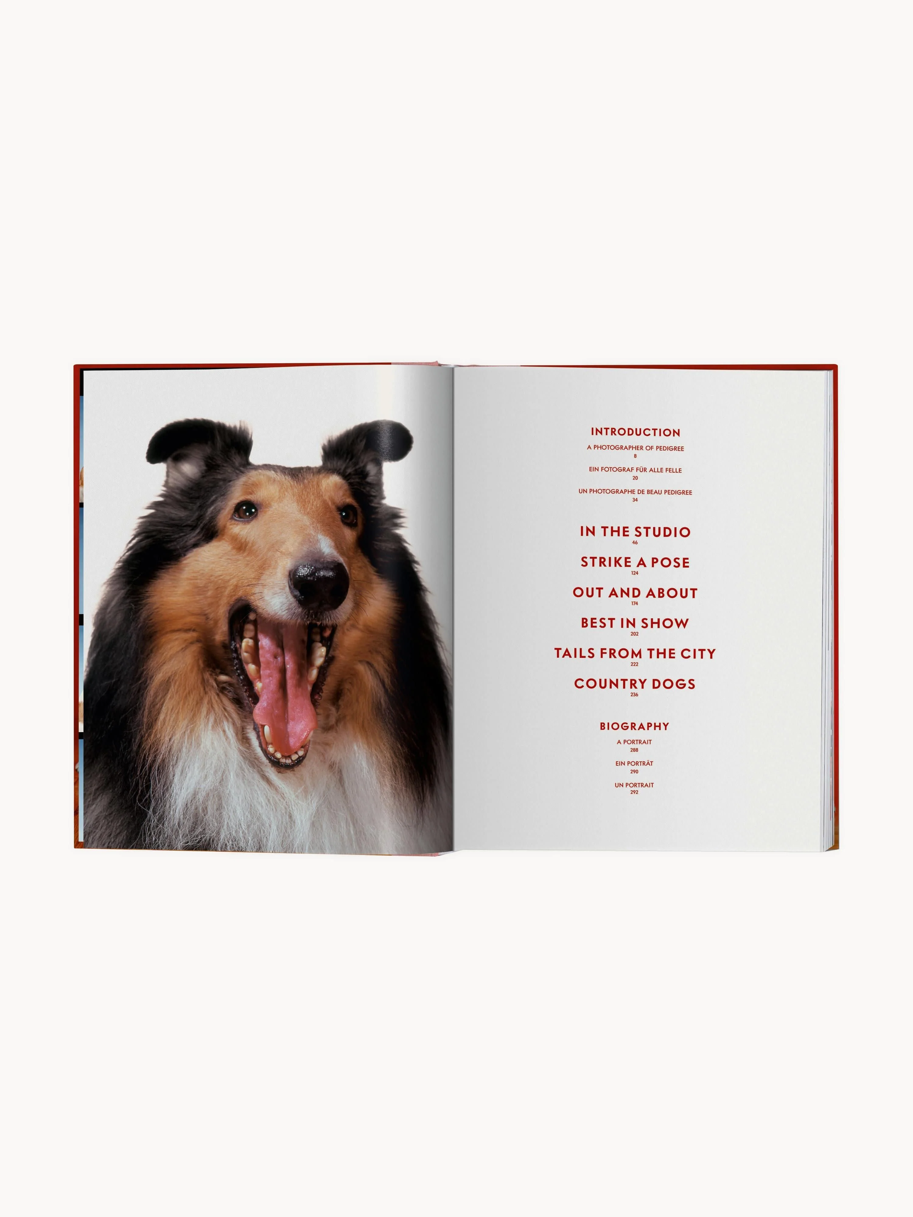 Bildband Dogs. Photographs 1941-1991