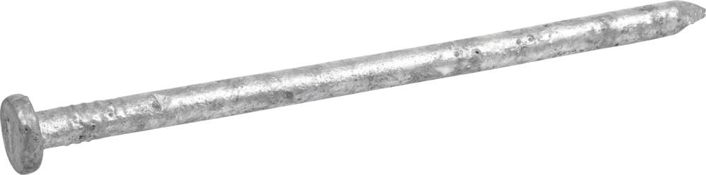 Hillman Galvanized Common Framing Nail, Exterior Application, 12-in