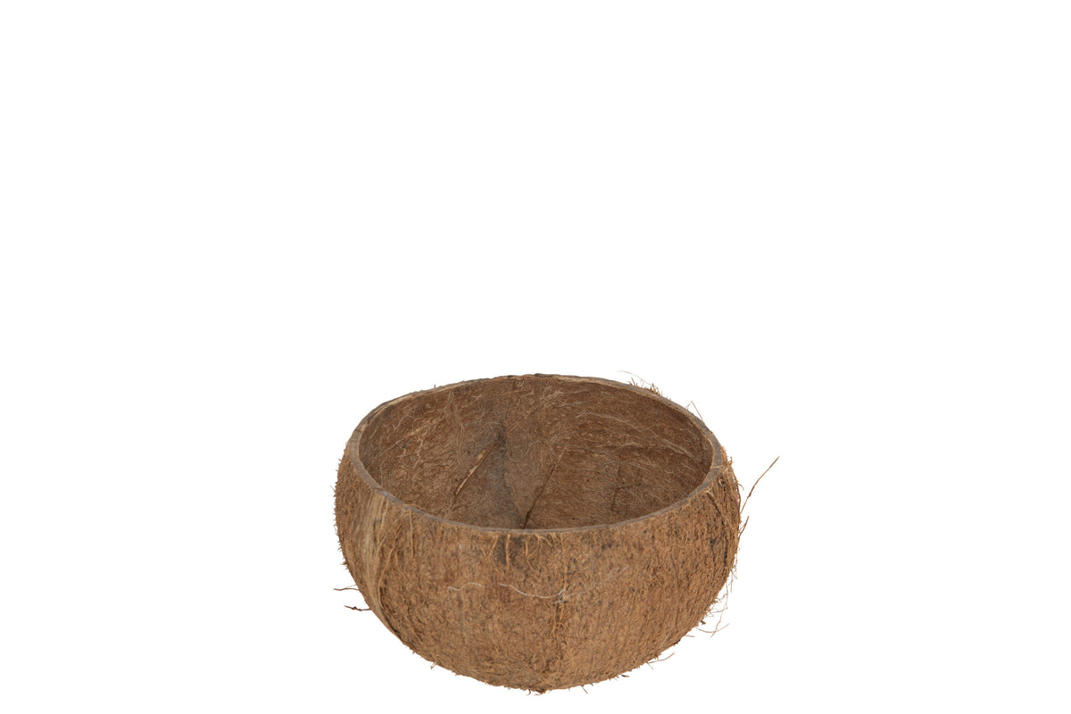 J-Line bol Halve Kokosnoot Brut - bamboe - naturel - 2 stuks