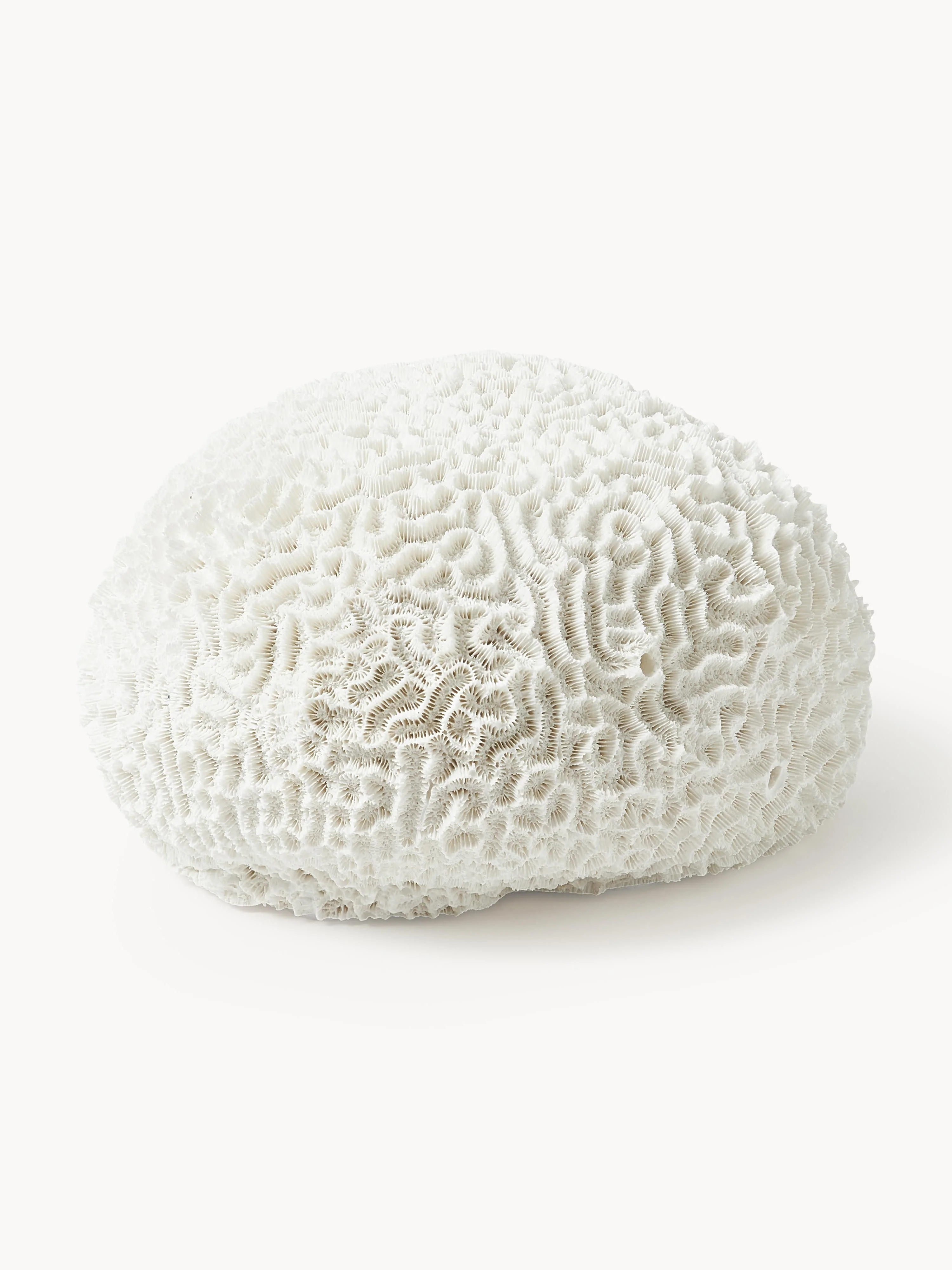 Design Deko-Objekt Coral