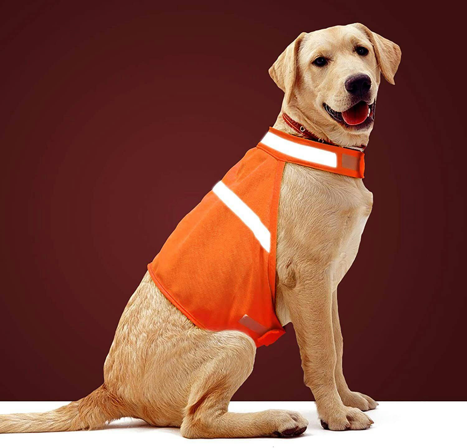 Huntshield Hi-Vis Dog Safety Vest, Orange