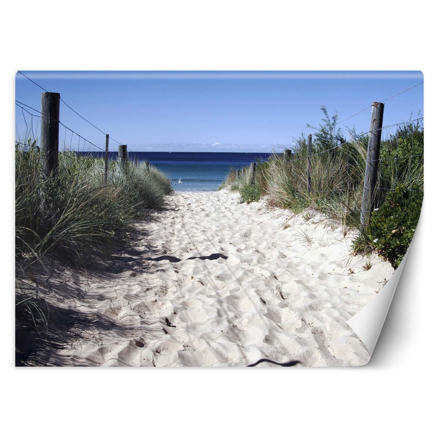 Feeby Fototapeta, Droga na plażę wydmy piasek 150x105