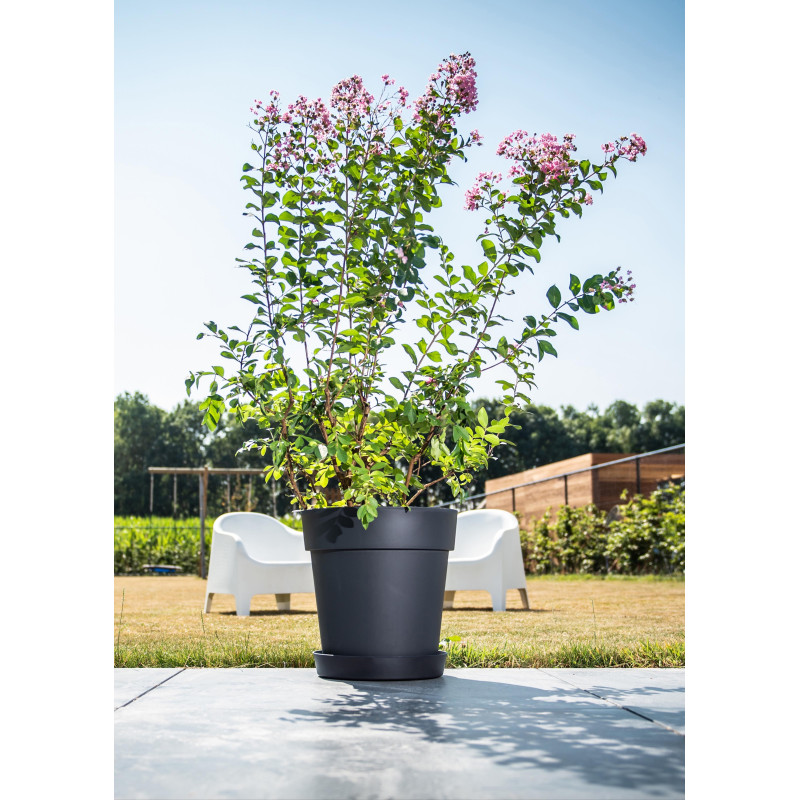 Pot de fleurs noir Star Ø 26 cm