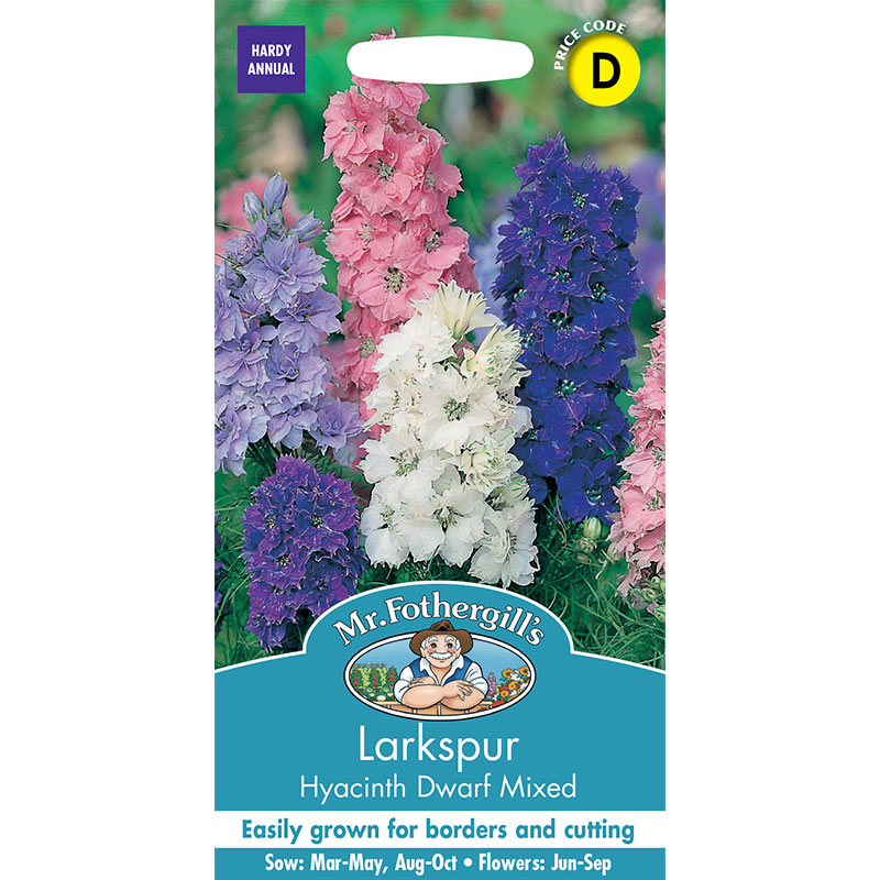 Romersk riddarsporre 'Hyacinth Dwarf Mixed'