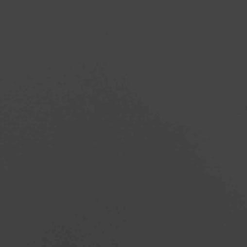 NNEVL Garden Storage Box Anthracite 116x44x55 cm