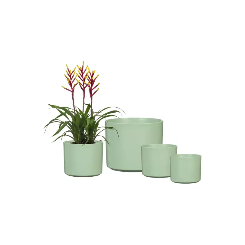 Blumentopf Linden Green