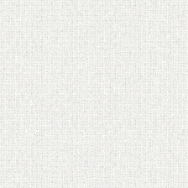 Papier peint intissé à peindre Canvas imprimé géométrique en relief blanc L.1000 x l.52cm Laura Ashley