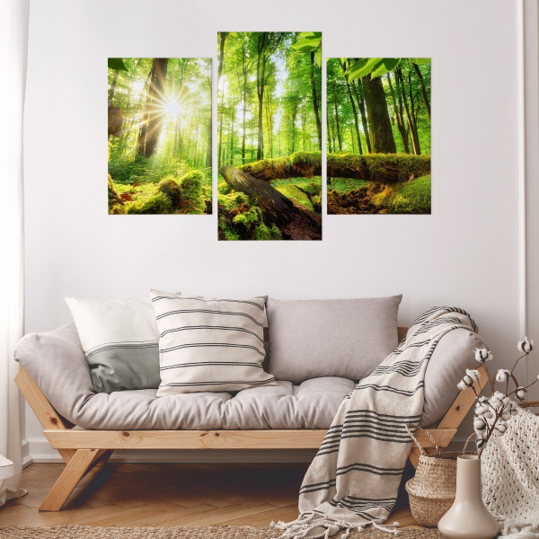 Obraz Tryptyk LAS Drzewa Liście Pejzaż 3D 60x40cm