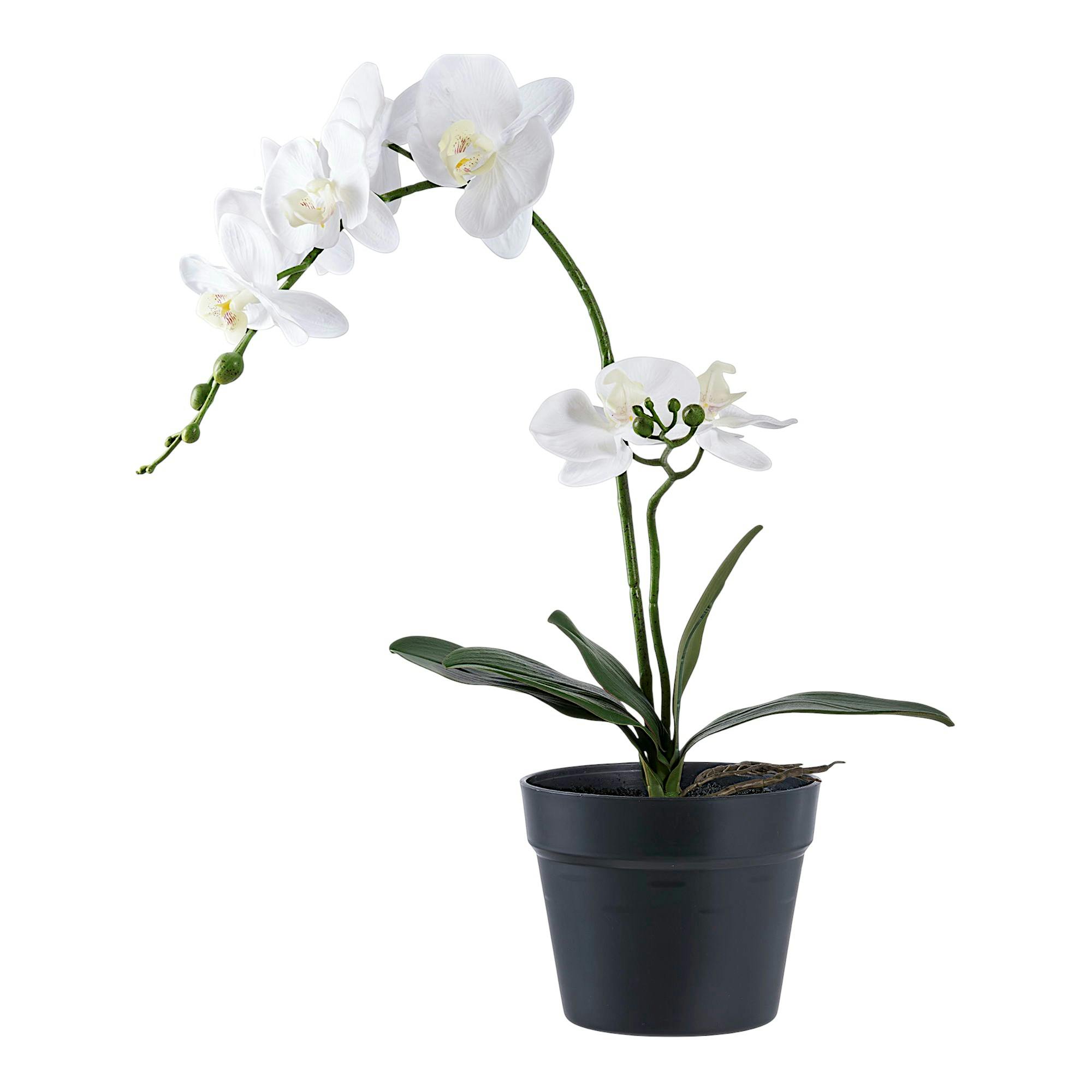Orchidée artificielle blanche en pot
