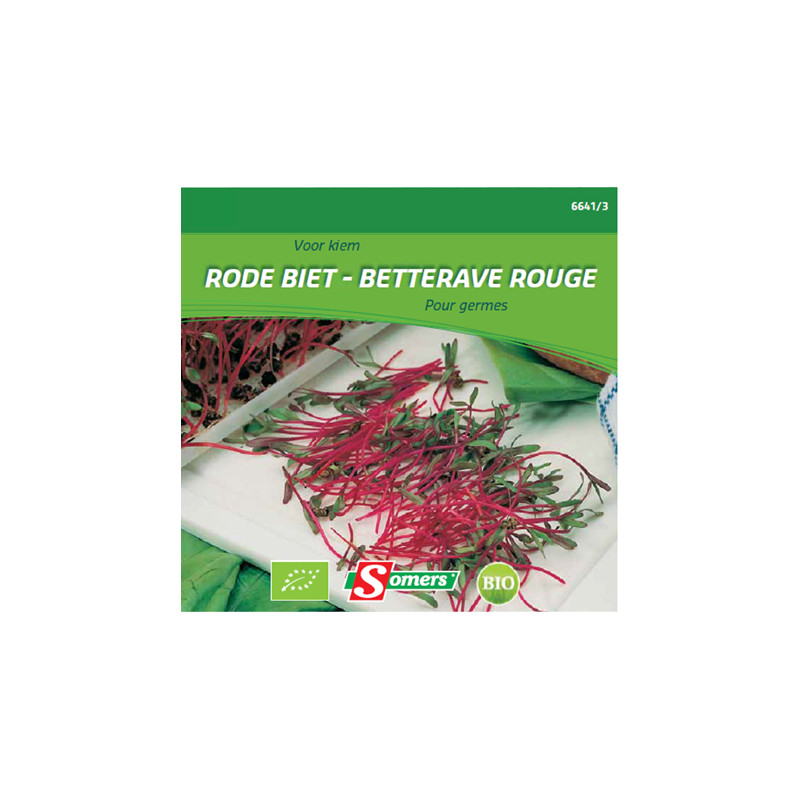 Semences de germes de betterave rouge Bio SOMERS