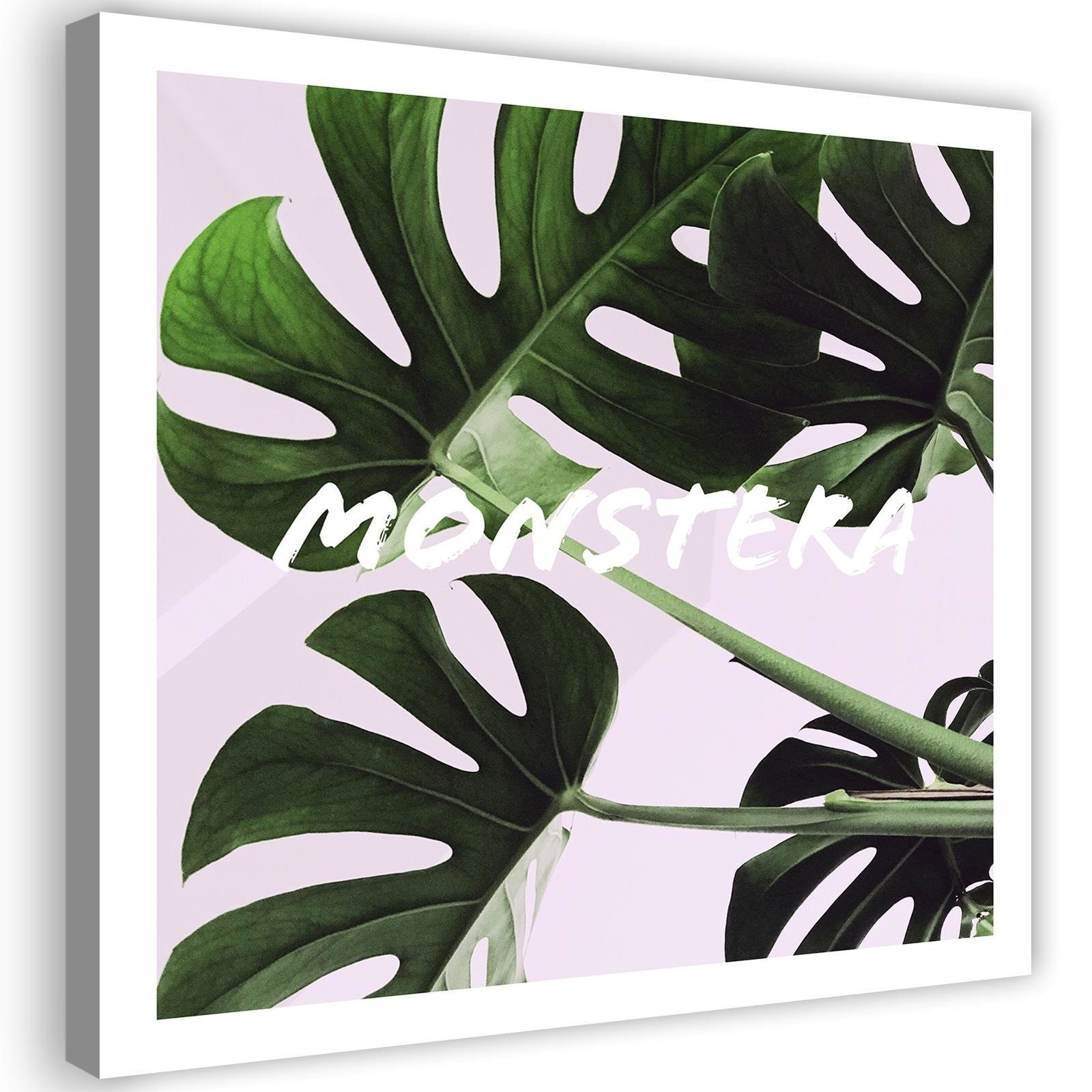 Feeby Obraz na płótnie, Egzotyczne liście Monstera 30x30