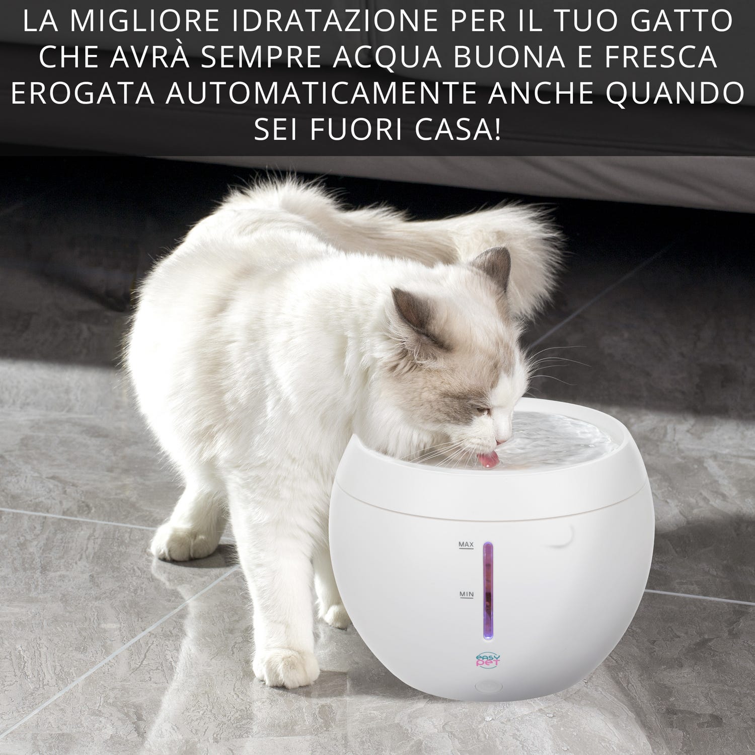 Fontanella per gatti 2 L Easy Pet