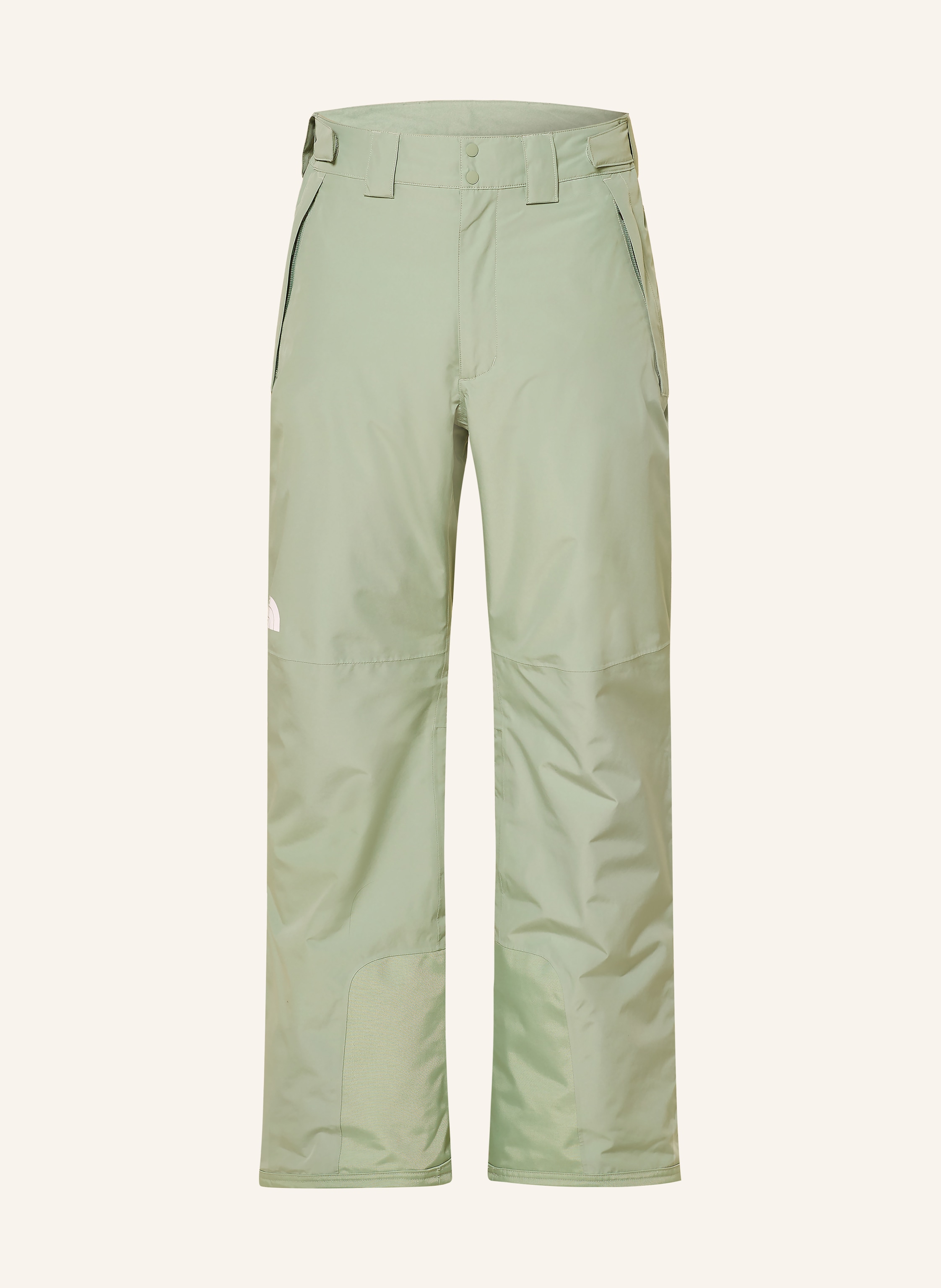 THE NORTH FACE Skihose DESCENDIT