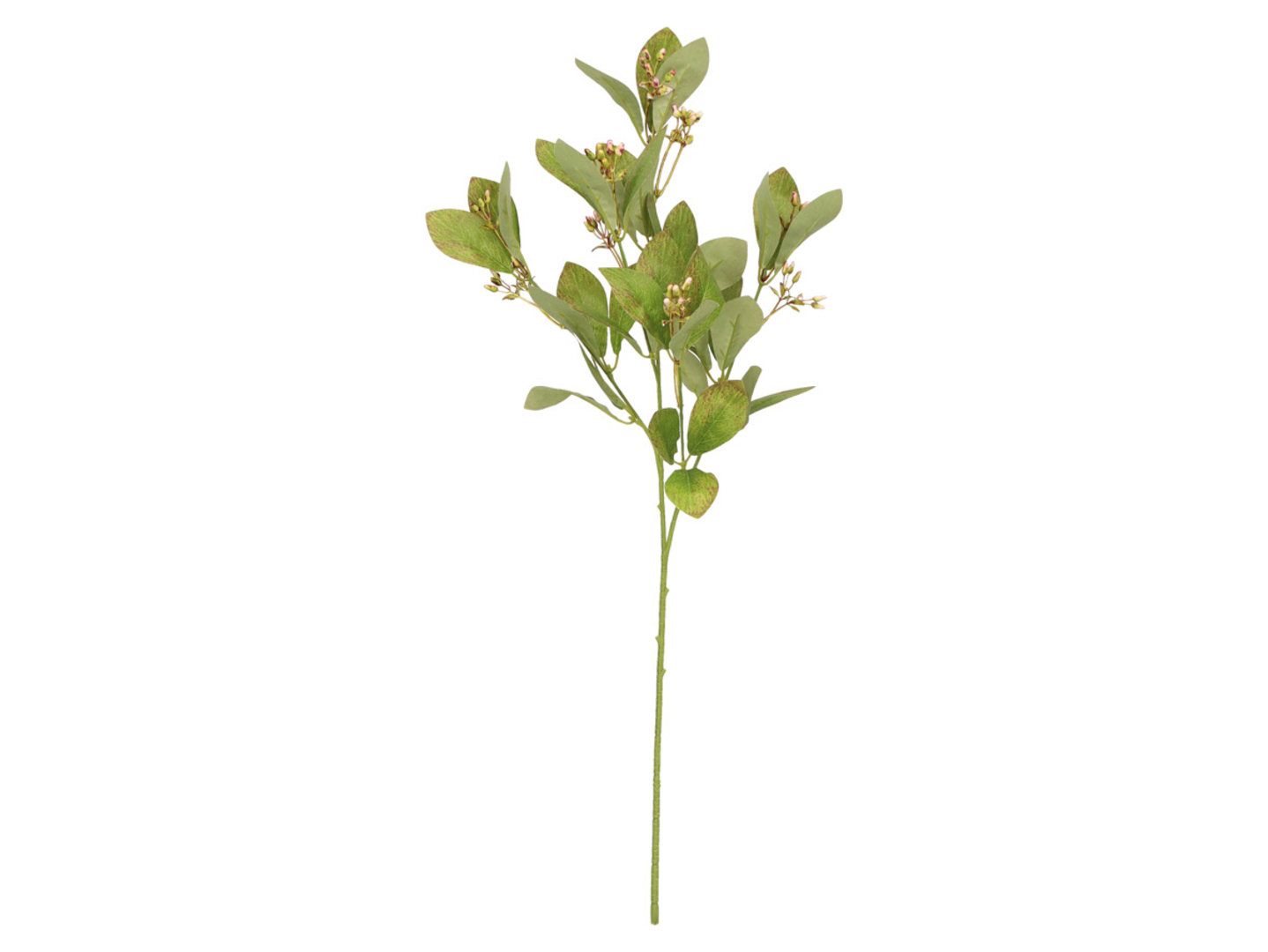 Gałązka ozdobna Laurowiśnia 66 cm