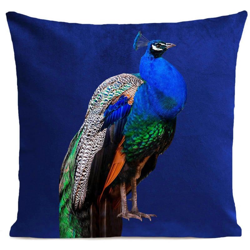 - Coussin campagne paon velours bleu foncé 40x40cm