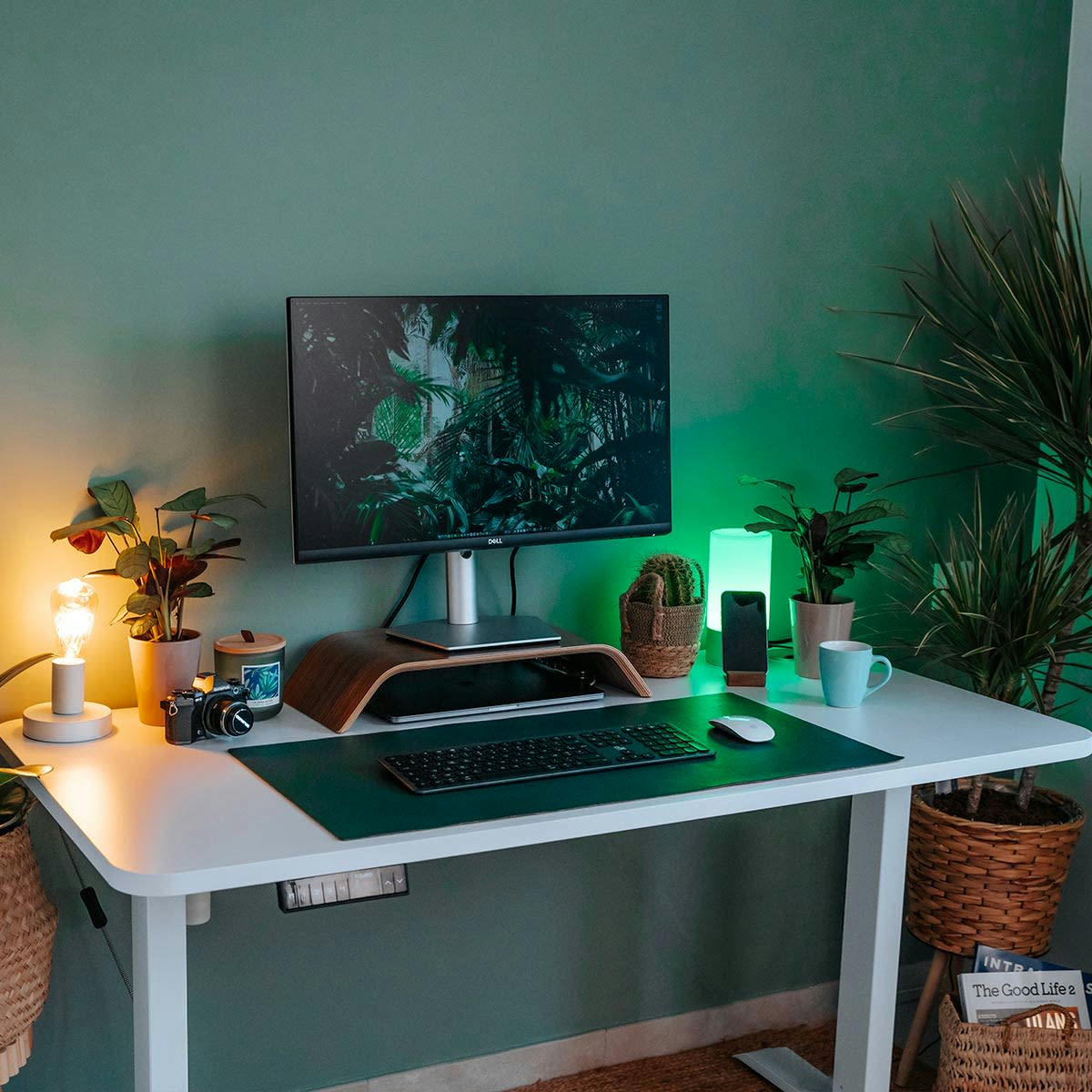 DYNAMIC - Bureau assis debout effet bois blanc 140x70