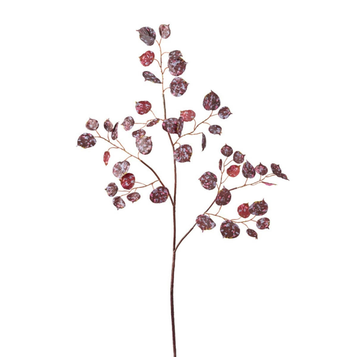 - Feuillage fantaisie H104