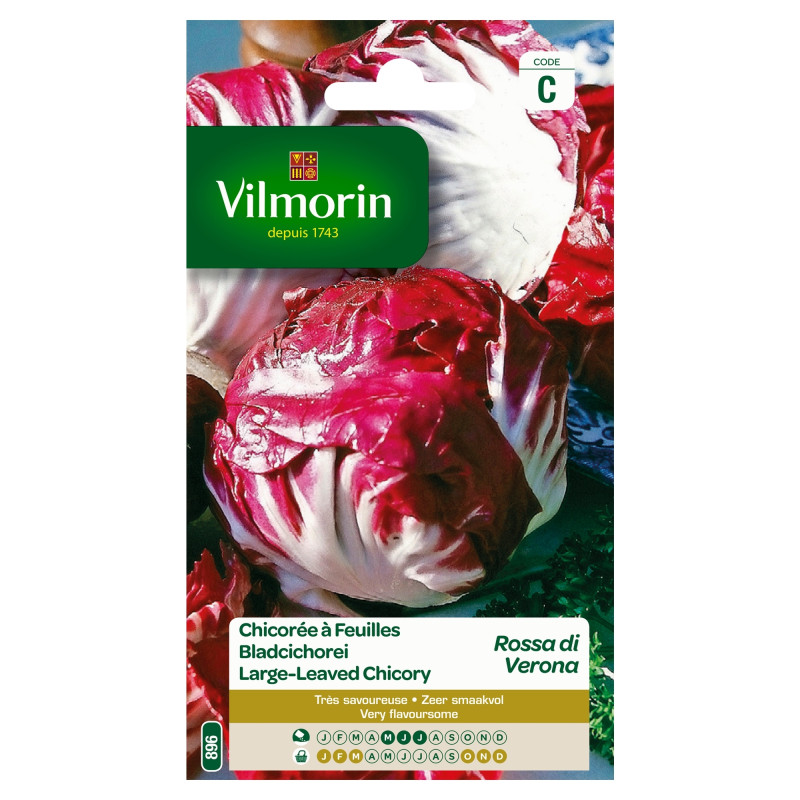 Semences de chicorée À feuilles rouge de Vérone VILMORIN