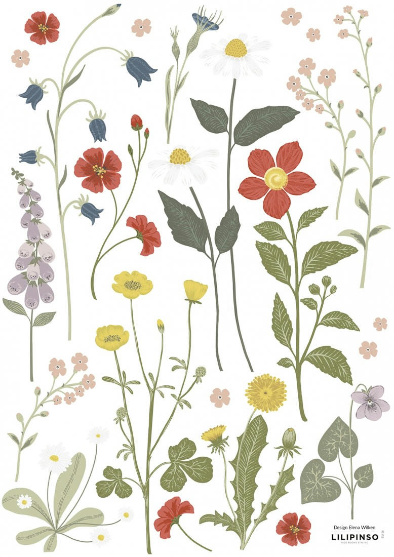 WILDFLOWERS - Planche de stickers Fleurs bouton d'or