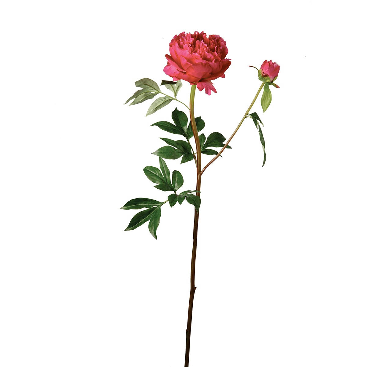JARDIN - Pivoine artificielle Jardin H85cm