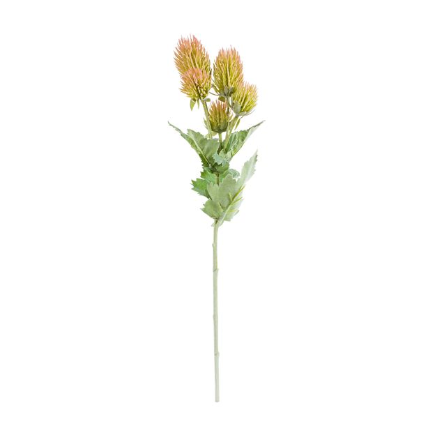 FLOR CARDO CYNARA