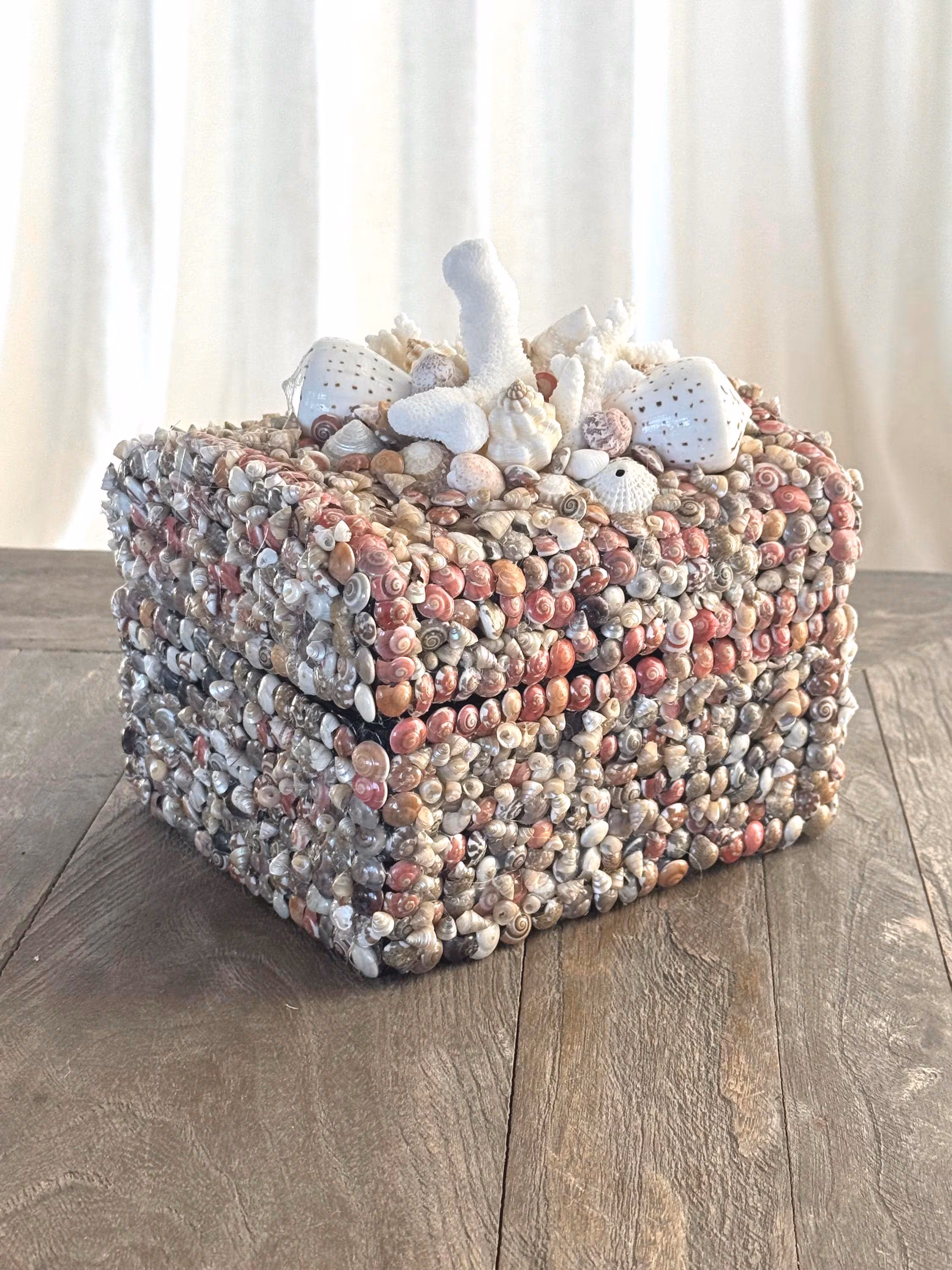 Shell Box, Handmade Seashell Treasure Box with Coral | Coastal Decorative Box | Shell Jewelry Box | One of a Kind Beach House Decor,