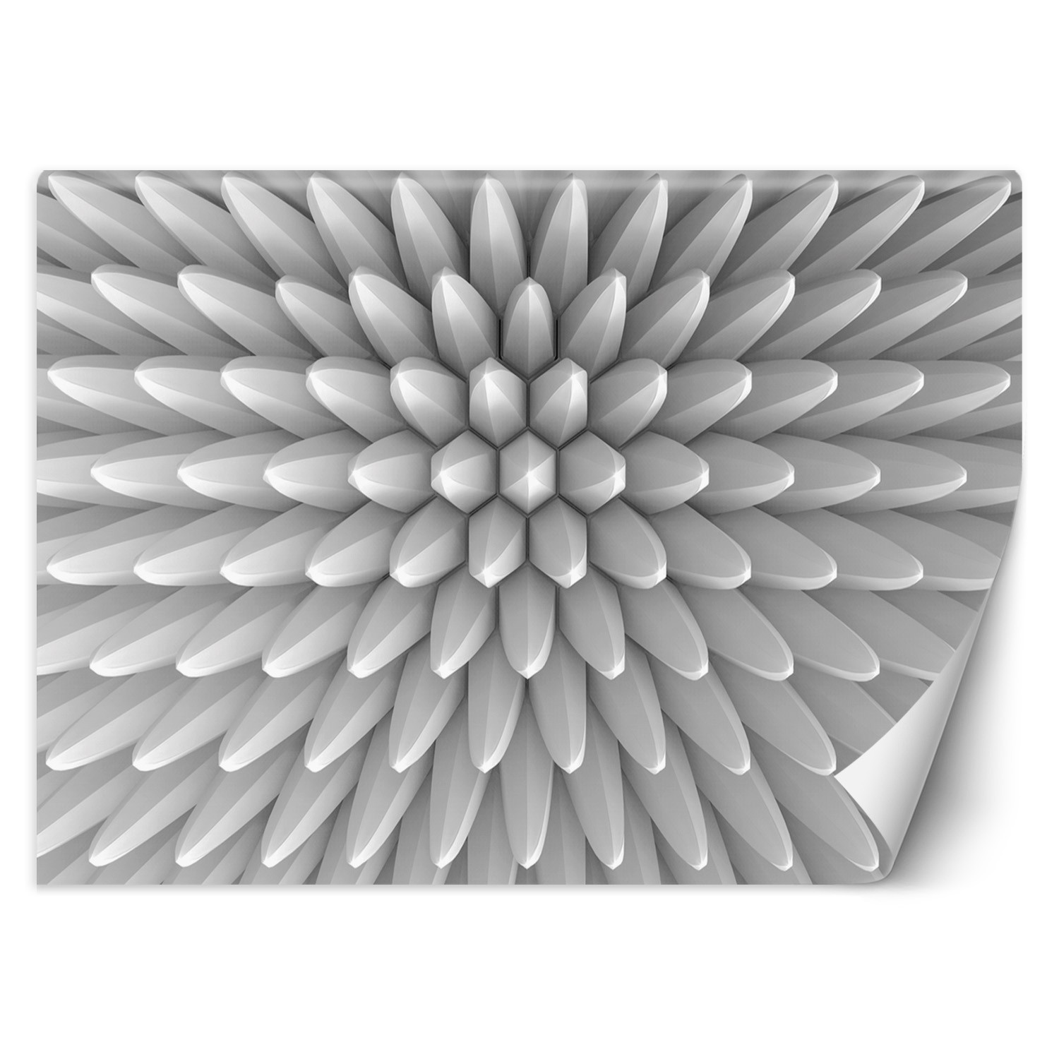 Feeby Fototapeta, Abstrakcja kolce tekstura 3D 150x105