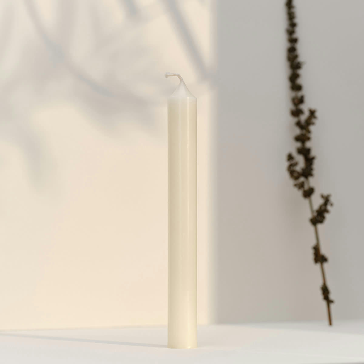 - 12 bougies droites 7h Ivoire Intemporel