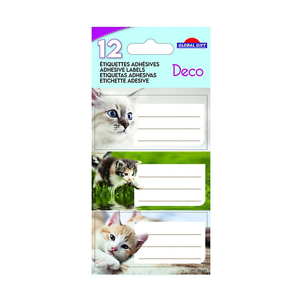 12 étiquettes adhésives scolaires - Rectangle - Photos Chatons