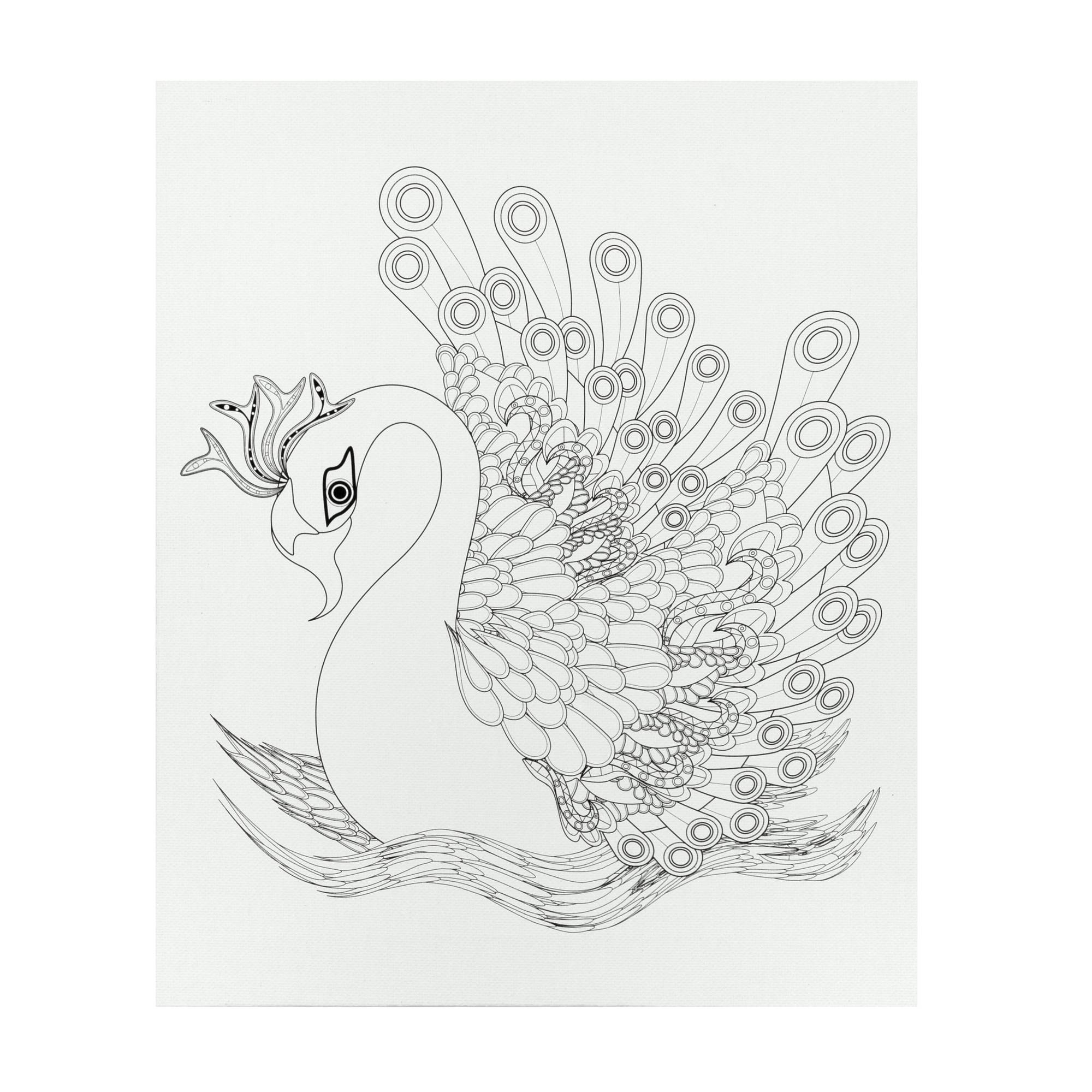 Swan Colour-in Canvas