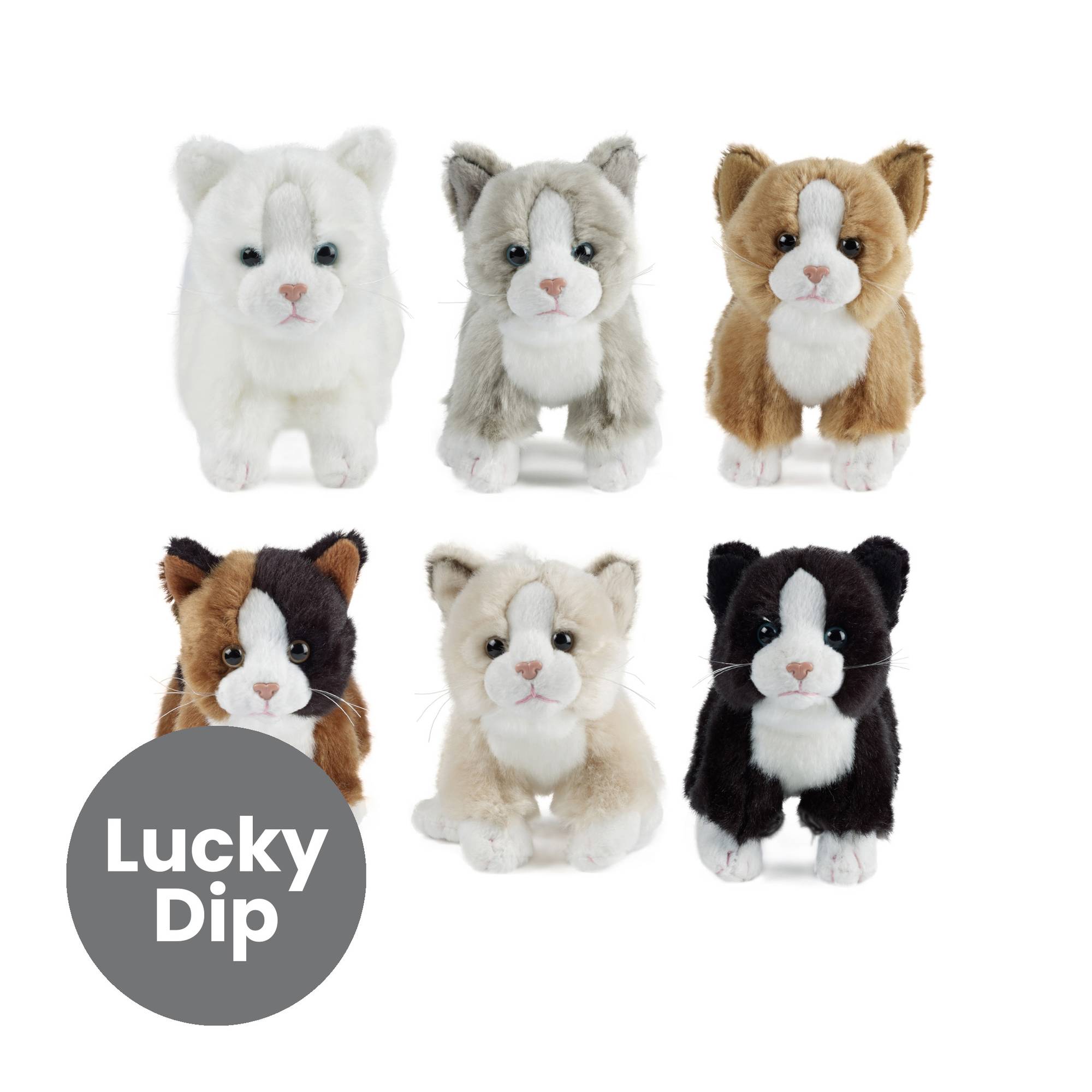 Assorted Cat Soft Toy