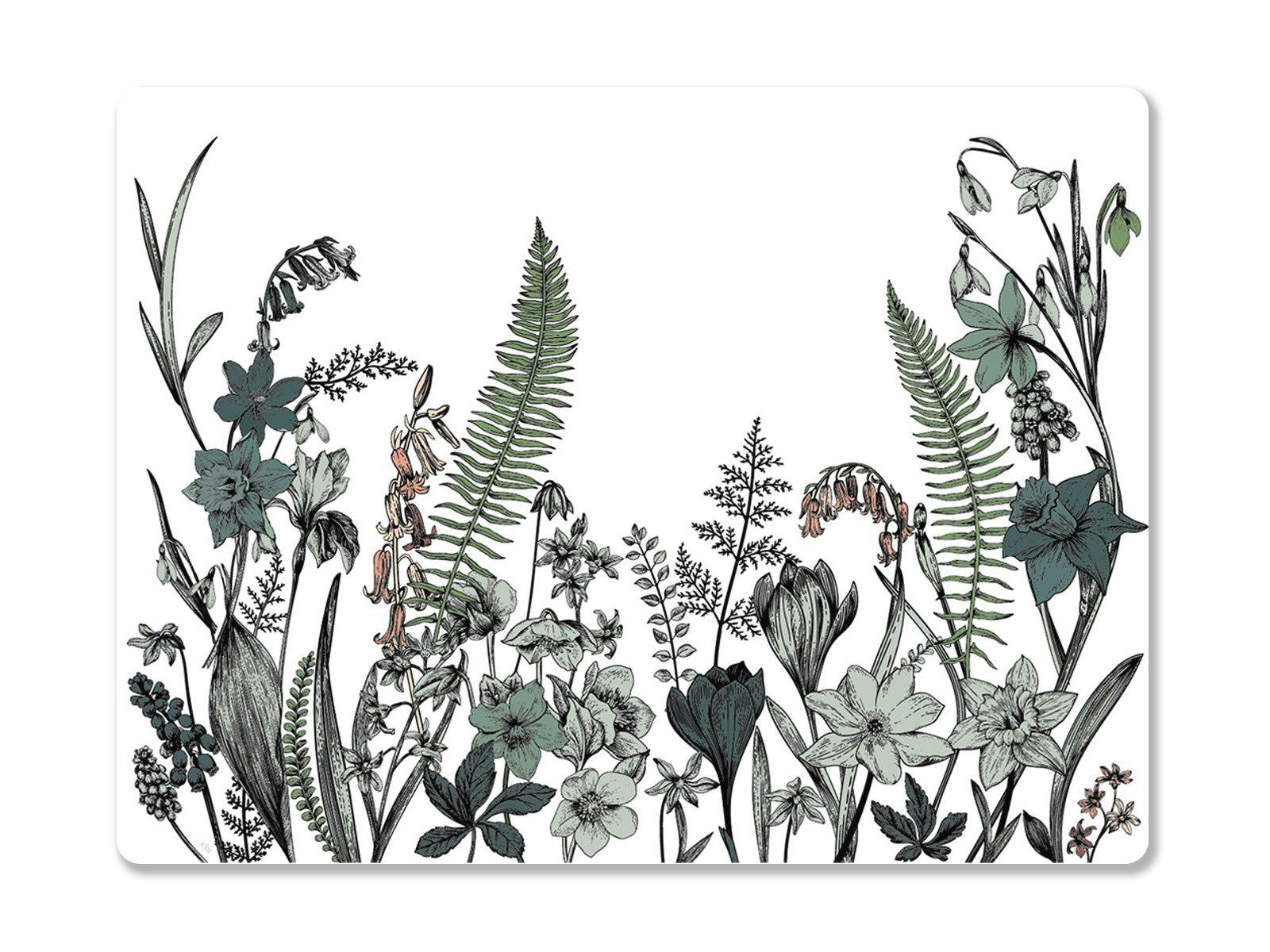 SACRE DU PRINTEMPS - Set de table vinyle vert sauge 48x36cm