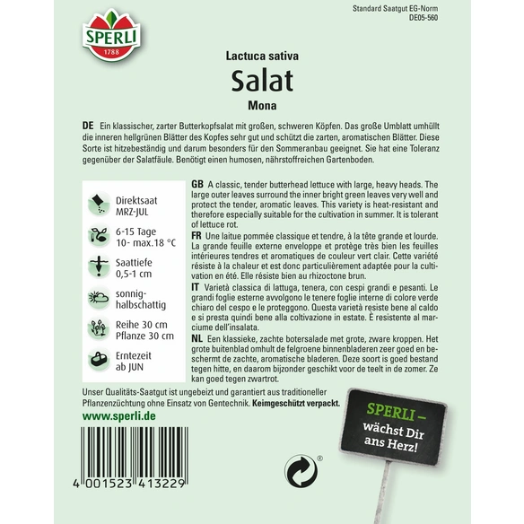 Salat »Mona«, zarter Butterkopfsalat für den ganzjährigen Anbau