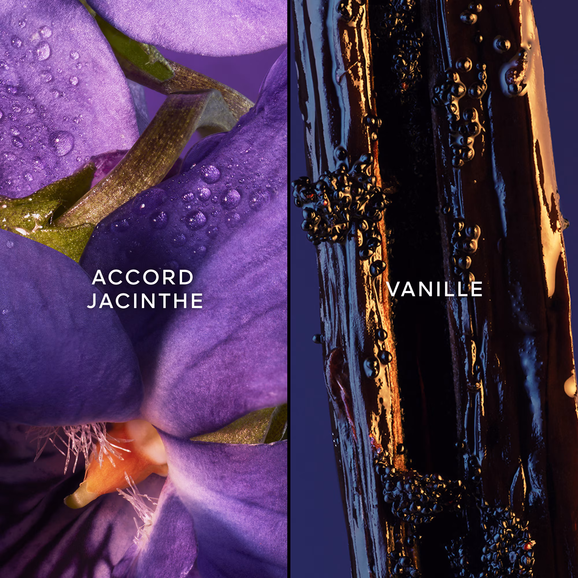 CHAMADEEau de toilette